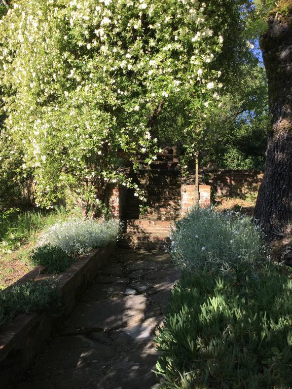 La Berchiera Apartman Ciggiano Kültér fotó