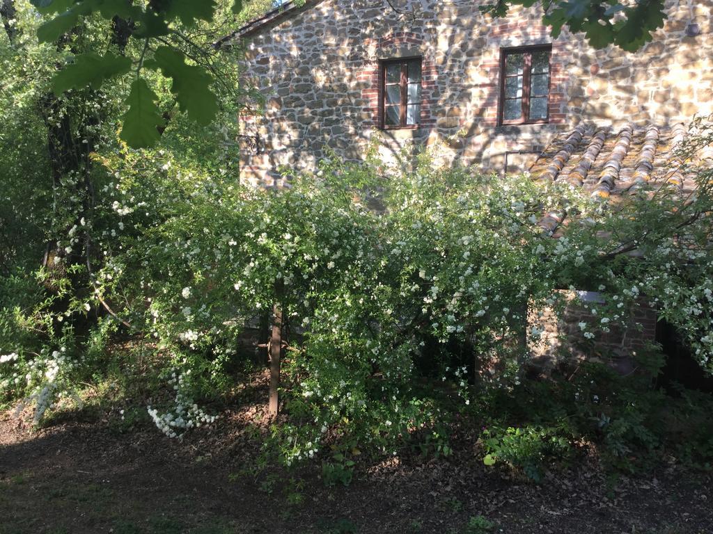 La Berchiera Apartman Ciggiano Kültér fotó